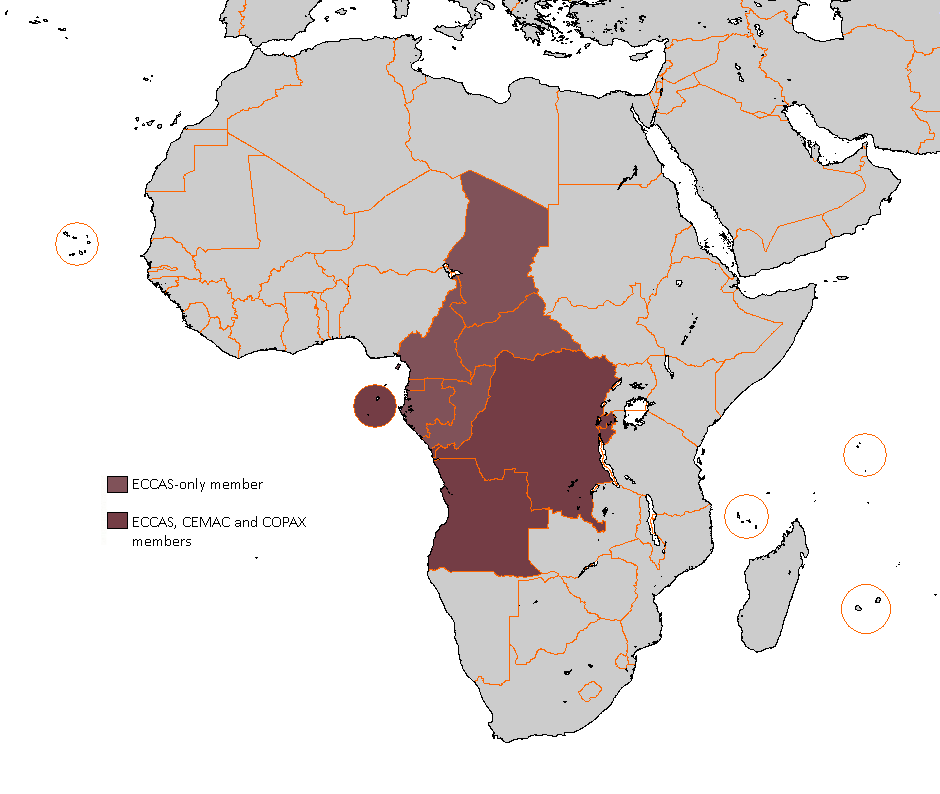 What You Should Know About CEMAC Buyer’s Permit Validity and Renewal